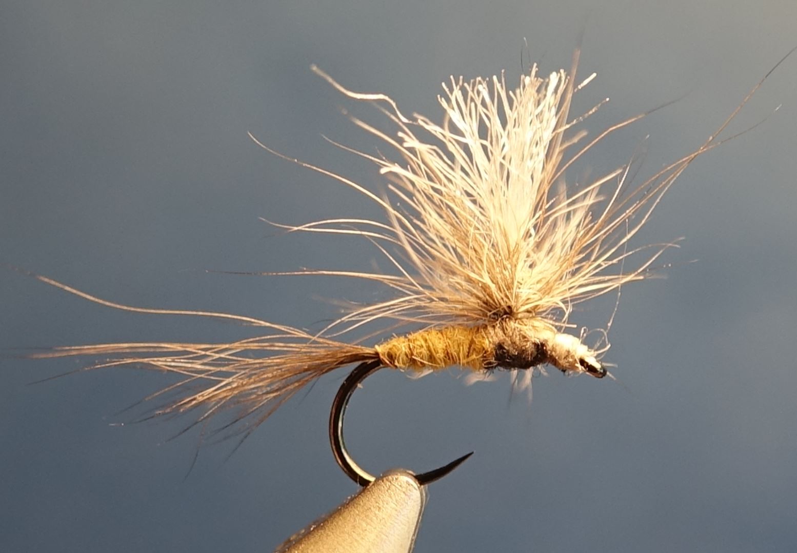 loir dormouse parachute mouche fly tying eclosion