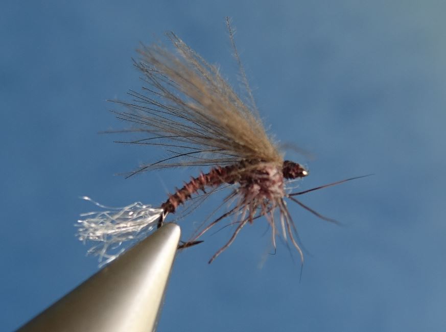 piktou mouche fly tying éclosion