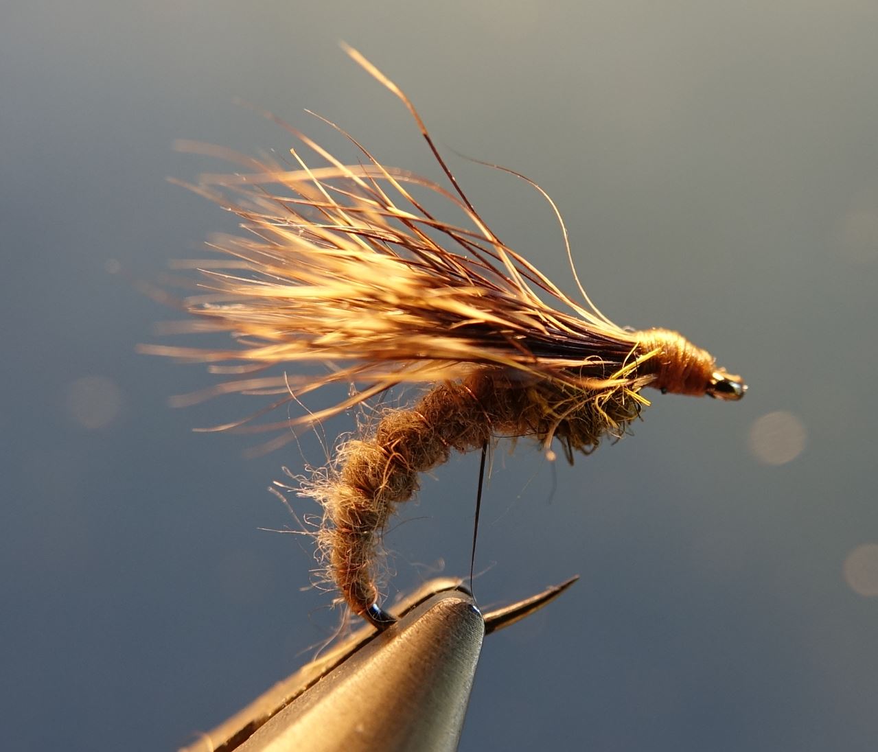 Sedge emergeante marmotte fly hair