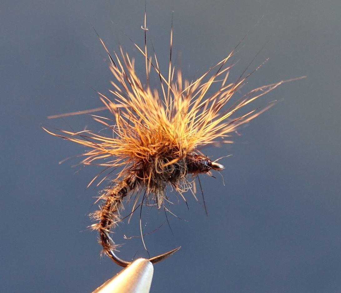 emergente ecureuil paraloop squirrel fly tying mouche eclosion