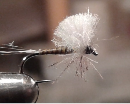 CDC parachute mouche quill fly tying éclosion