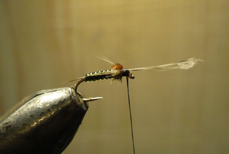 ANR absolute no refuse nymphe nymp mouche flytying tying eclosion