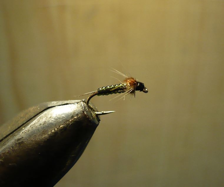 ANR absolute no refuse nymphe nymp mouche flytying tying eclosion