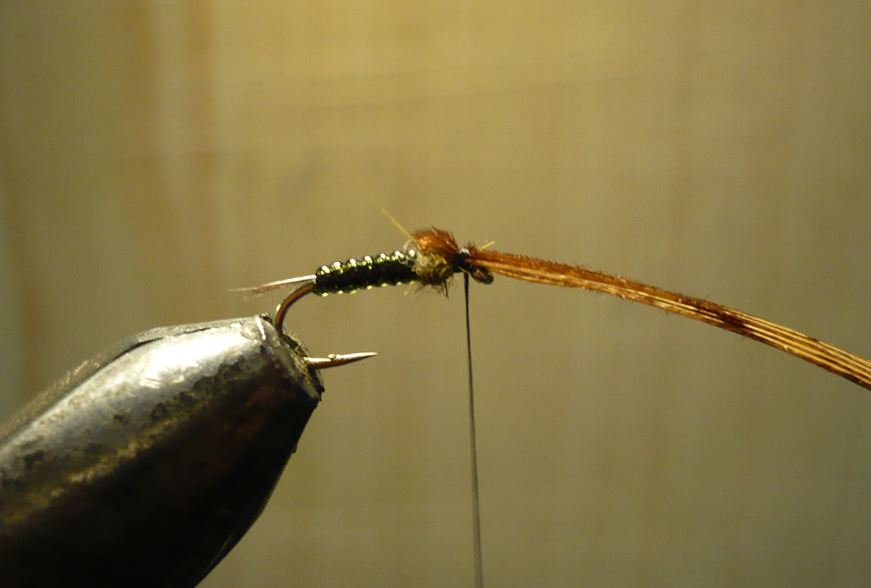 ANR absolute no refuse nymphe nymp mouche flytying tying eclosion