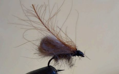 bubble sedge mouche fly tying eclosion