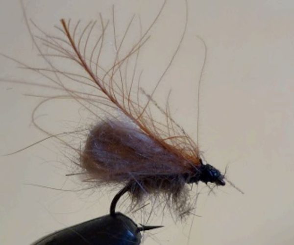 bubble sedge mouche fly tying eclosion