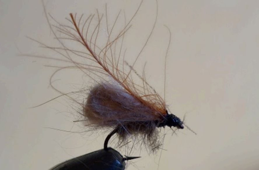 bubble sedge mouche fly tying eclosion