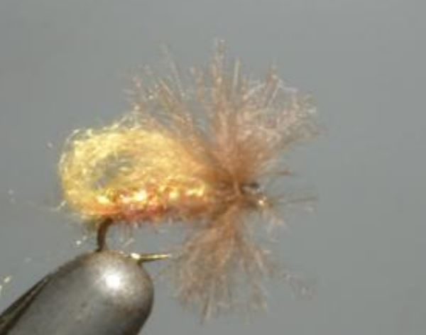 bubble sedge mouche fly tying eclosion