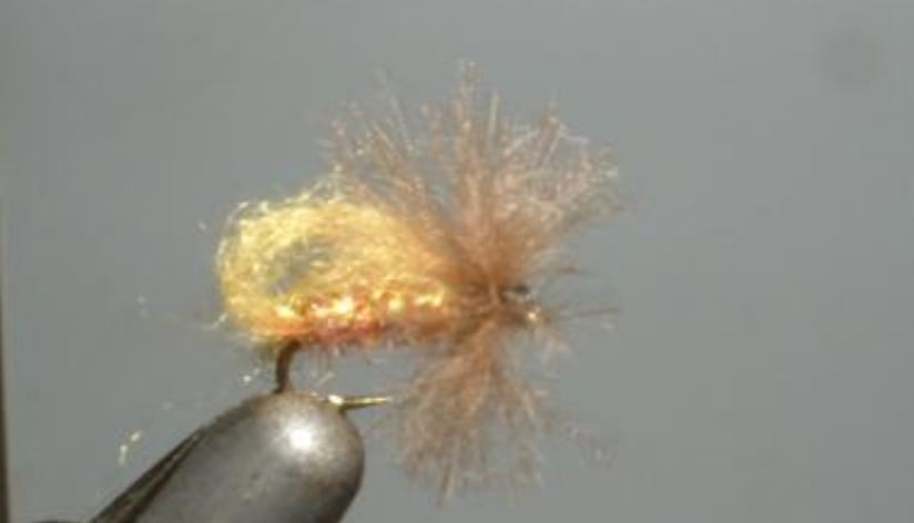 bubble sedge mouche fly tying eclosion