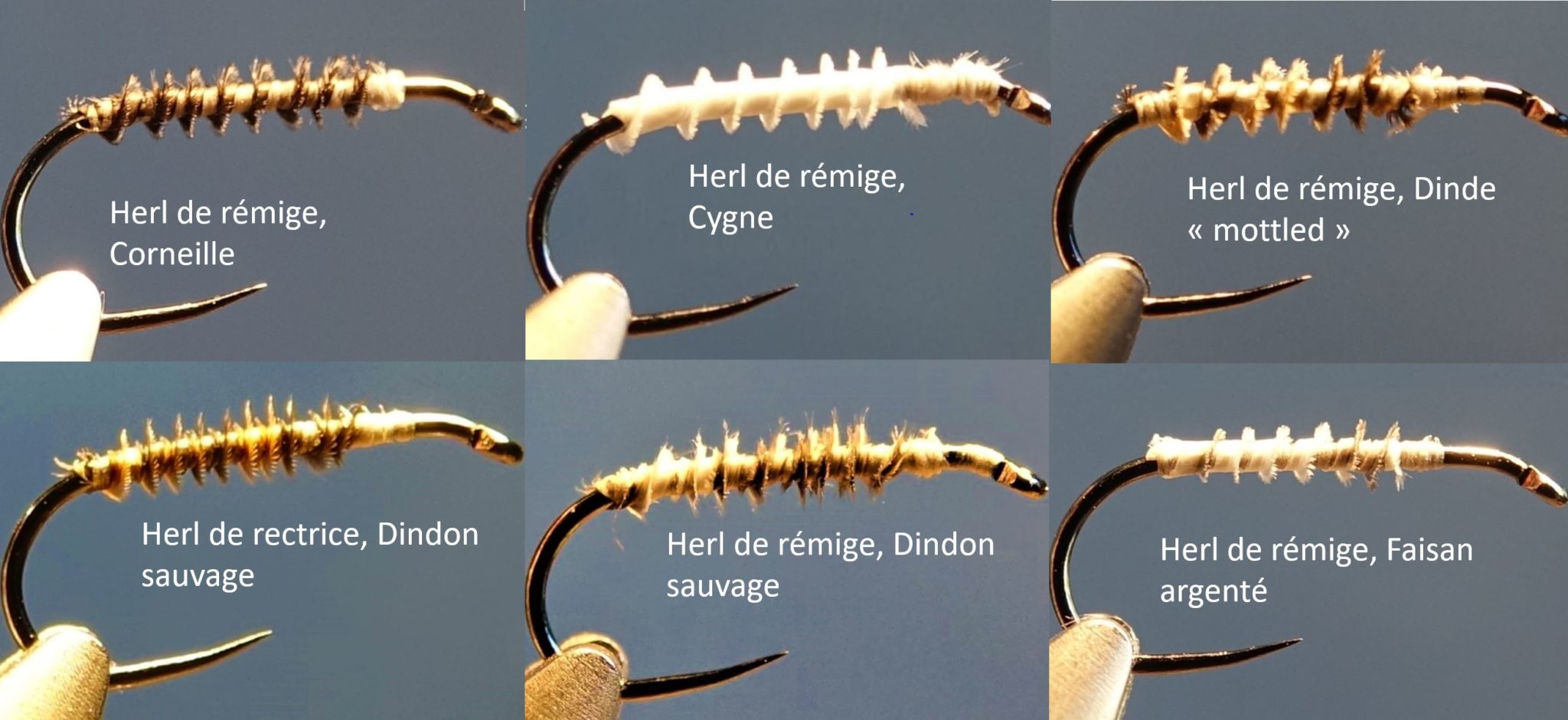 Herl dindon cygne faisan argenté corneille rémige rectrice mouche fly tying eclosion