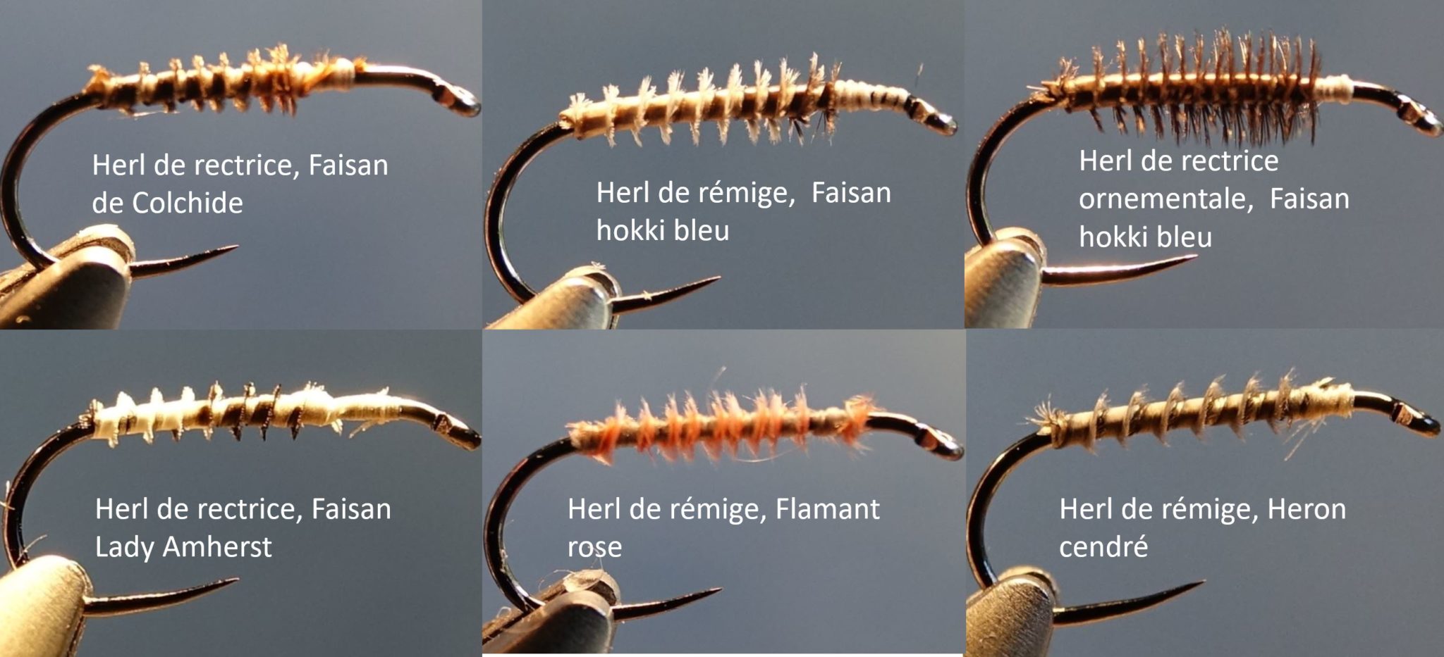 Herl faisan colchide hooki lady amherst flamant rose heron cendré mouche fly tying eclosion No.4