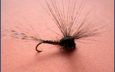 March brown MB pardo paraloop mouche fly tying eclosion 2