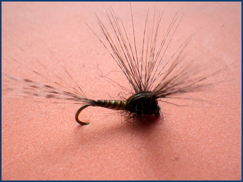 March brown MB pardo paraloop mouche fly tying eclosion 2
