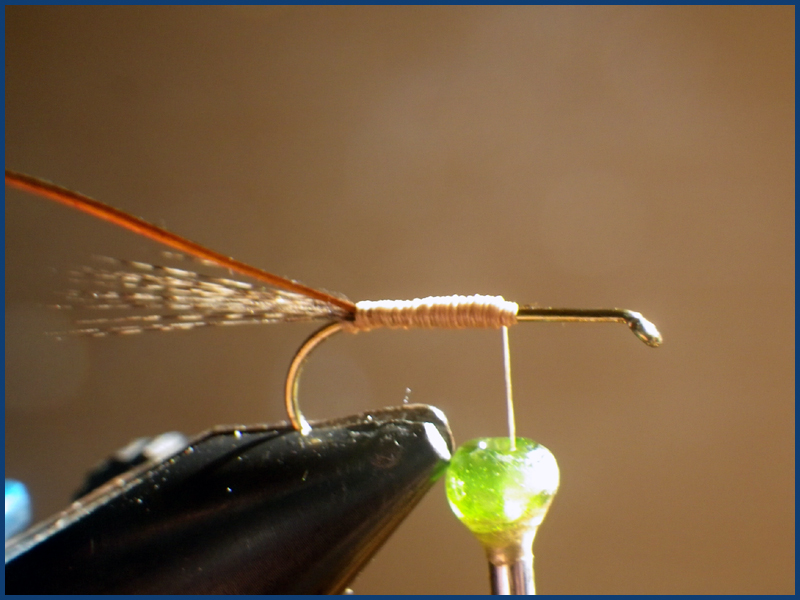 March brown MB pardo paraloop mouche fly tying eclosion 2