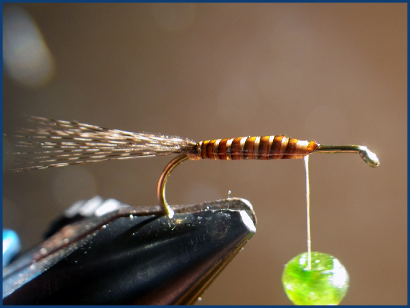 March brown MB pardo paraloop mouche fly tying eclosion 4