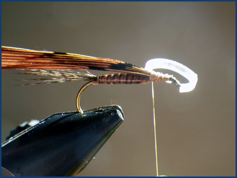 March brown MB pardo paraloop mouche fly tying eclosion 