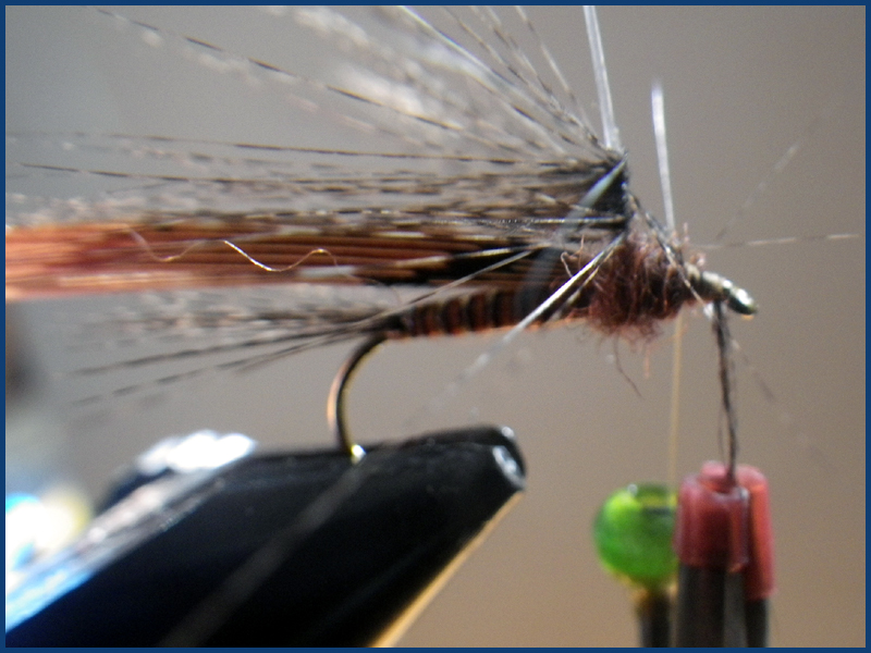 March brown MB pardo paraloop mouche fly tying eclosion 