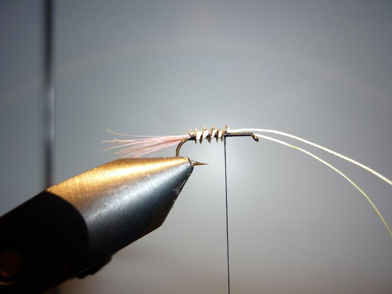 paraloop eclosion fly tying mouche 2