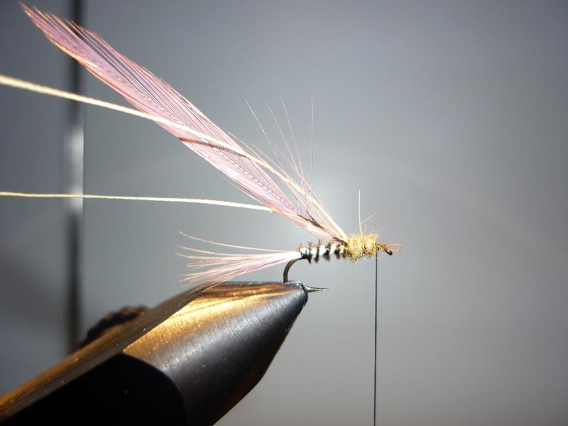 paraloop eclosion fly tying mouche 2