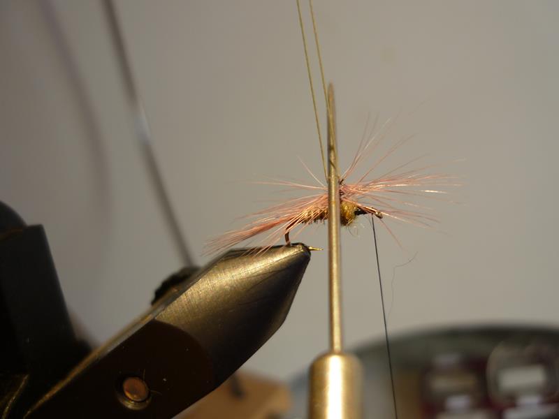 paraloop eclosion fly tying mouche