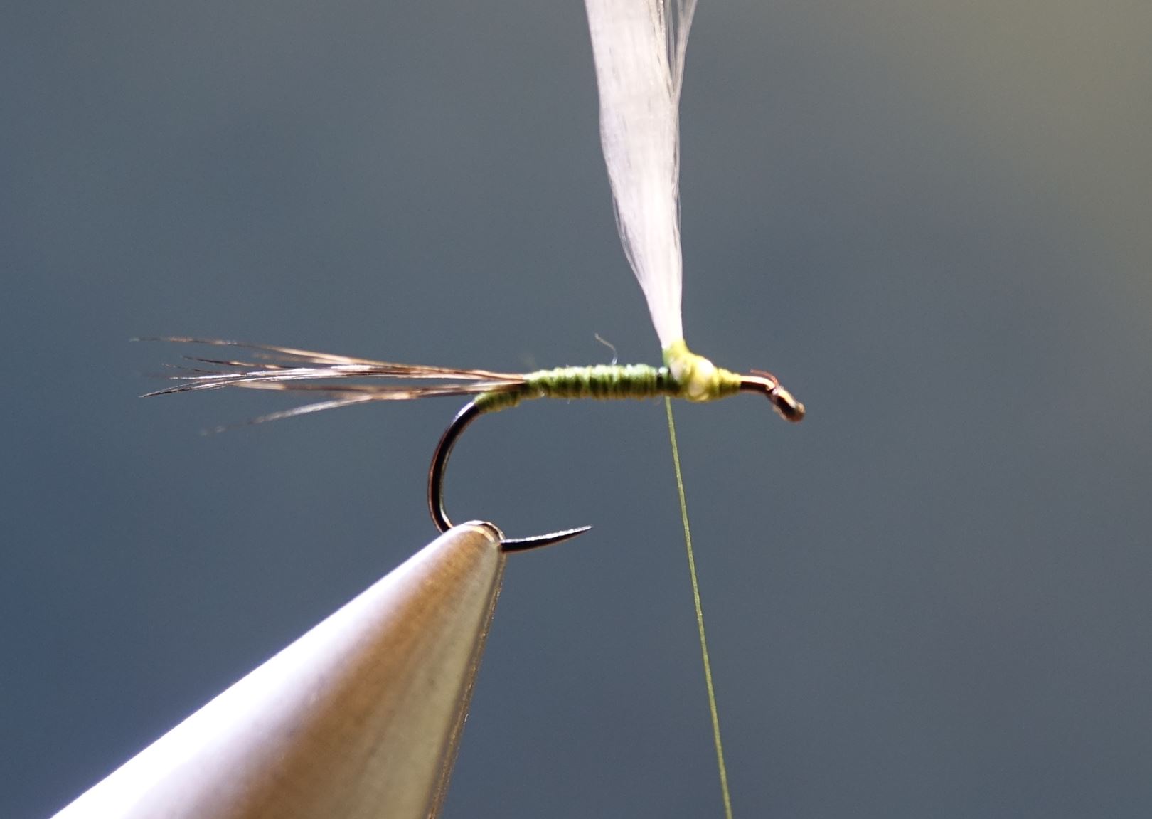 Spent parachute olive mouche fly tying eclosion