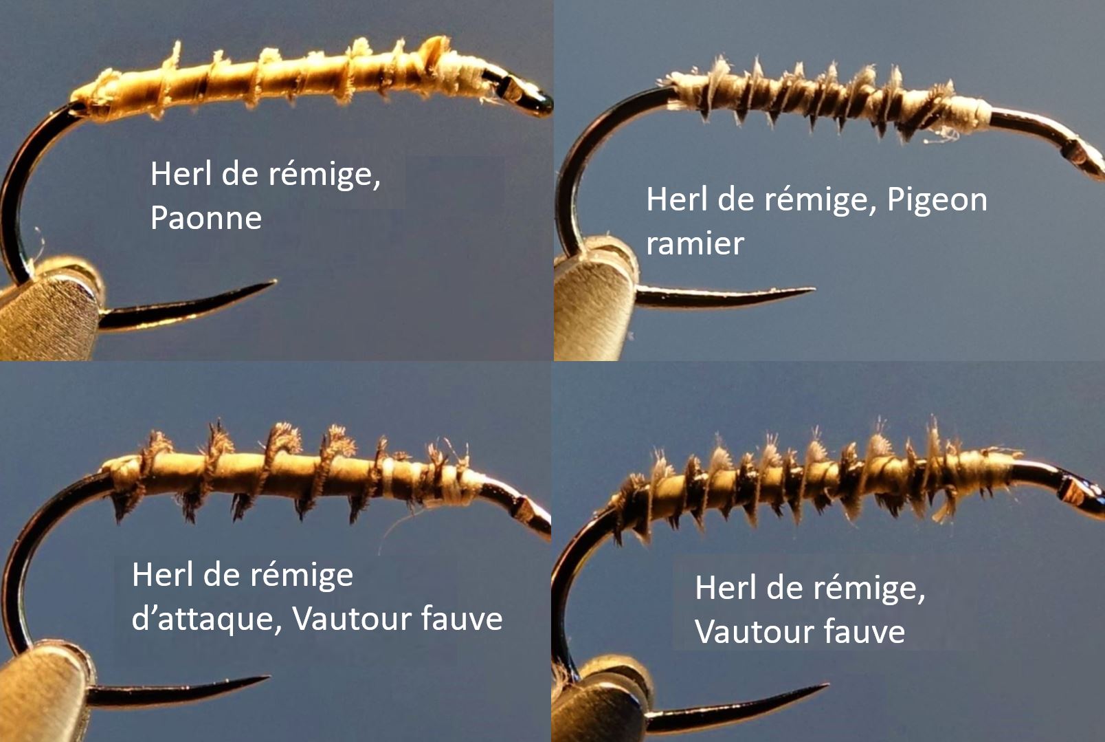 herl rémige pigeon paonne vautour mouche fly tying eclosion