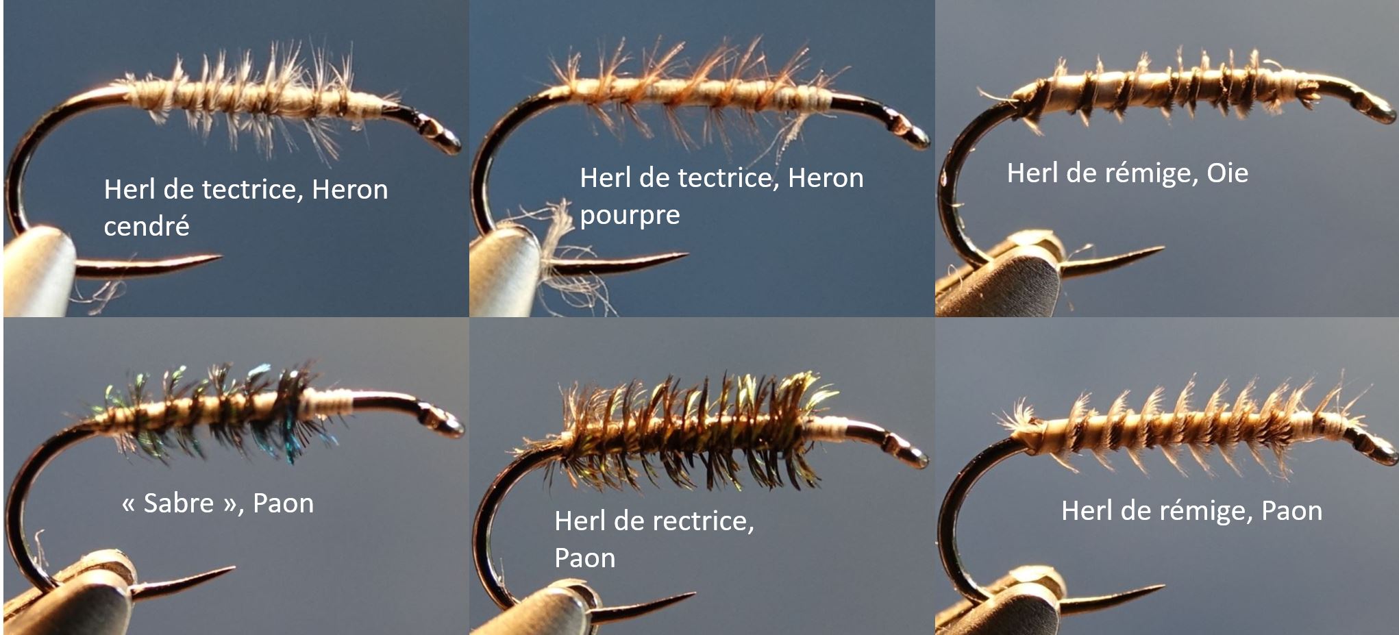 herl remige tectrice rectrice heron oie paon mouche plume fly tying eclosion