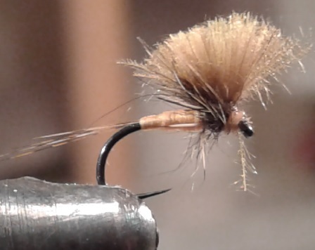 CDC parachute mouche quill fly tying éclosion