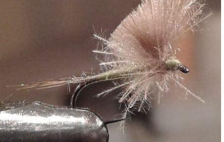 CDC parachute mouche quill fly tying éclosion