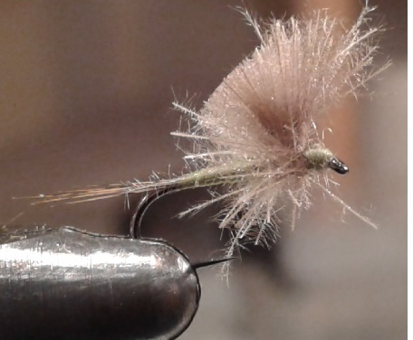 CDC parachute mouche quill fly tying éclosion