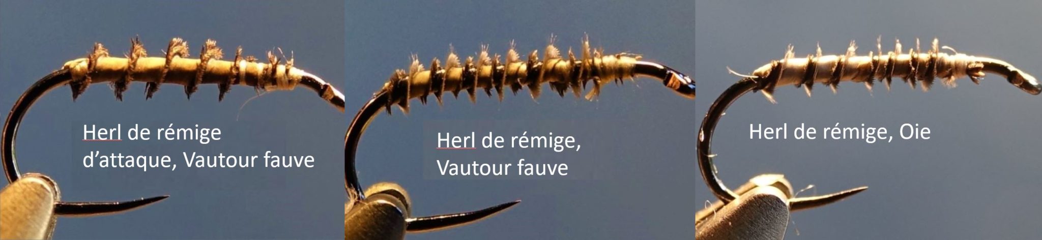 herl remige plume vautour oie mouche fly tying eclosion
