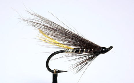 Stoat's tail mouche saumon truite de mer salmon sea trout fly tying eclosion