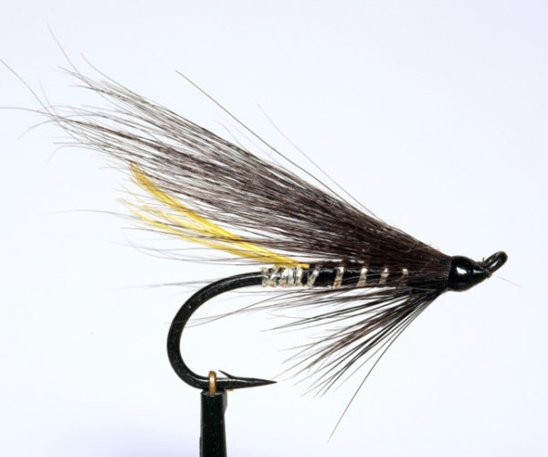 Stoat's tail mouche saumon truite de mer salmon sea trout fly tying eclosion