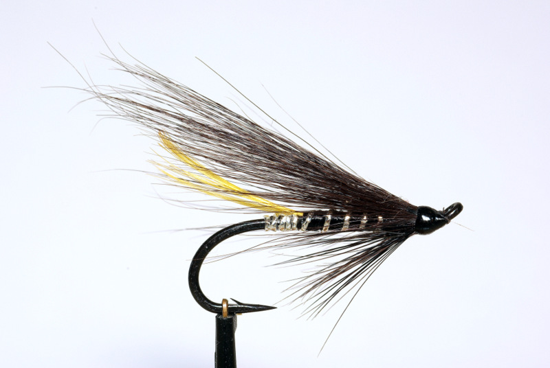 Stoat's tail mouche saumon truite de mer salmon sea trout fly tying eclosion