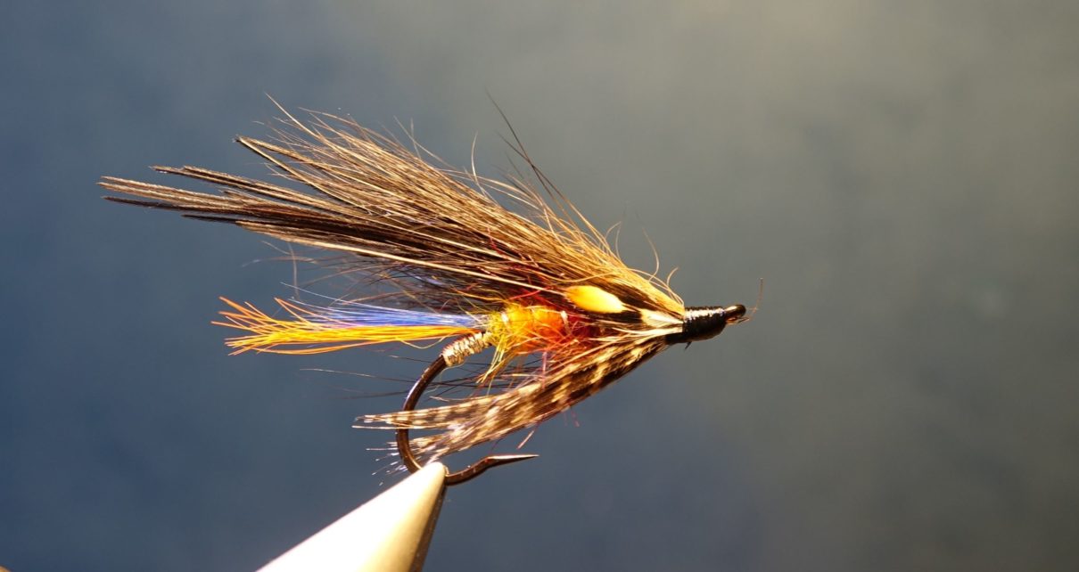 mouche truite de mer spoey hackle junglke cock fly tying eclosion sea trout salmon saumon