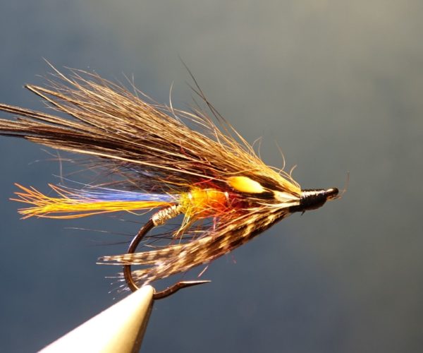 mouche truite de mer spoey hackle junglke cock fly tying eclosion sea trout salmon saumon