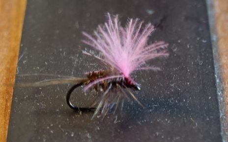 ephemère rose grise mouche fly tying eclosion