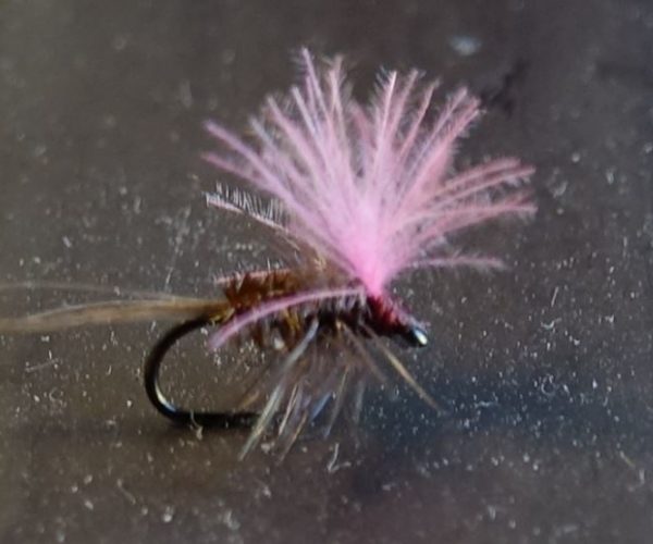 ephemère rose grise mouche fly tying eclosion