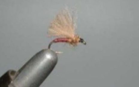 voilier CDC mouche fly tying eclosion Lanceur59