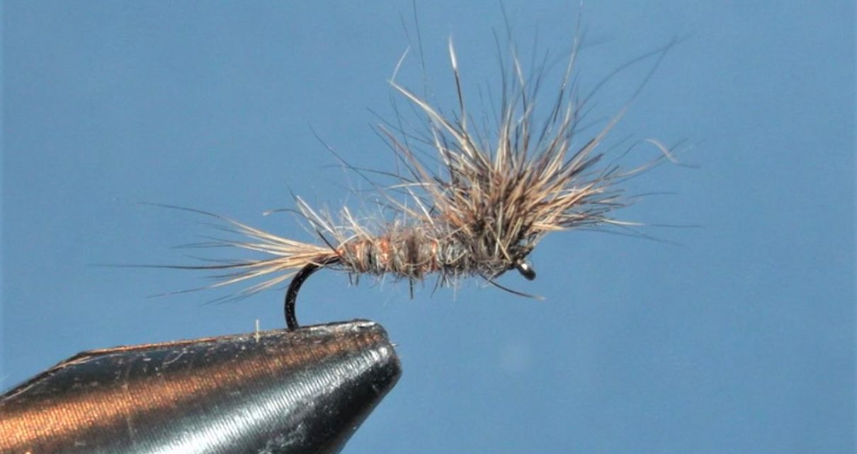 paraloop orc orl lièvre hare roe deer mouche fly tying eclosion