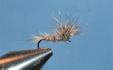 paraloop orc orl lièvre hare roe deer mouche fly tying eclosion