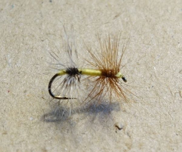 Diabolo bi-colelrette exquise mouche fly tying eclosion