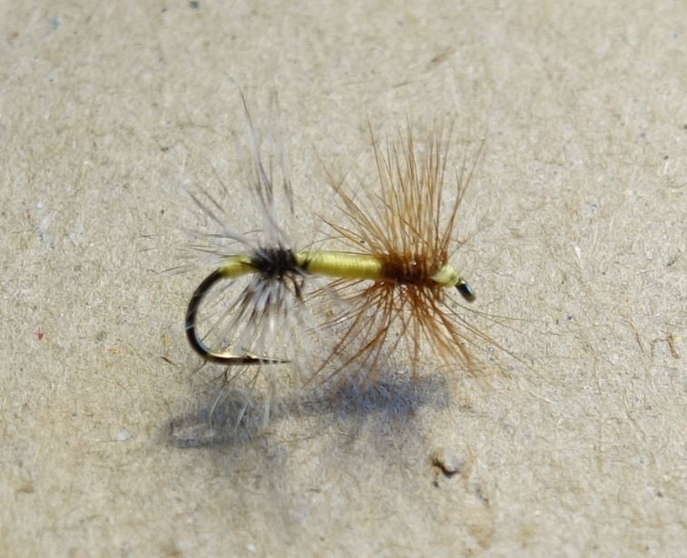 Diabolo bi-colelrette exquise mouche fly tying eclosion
