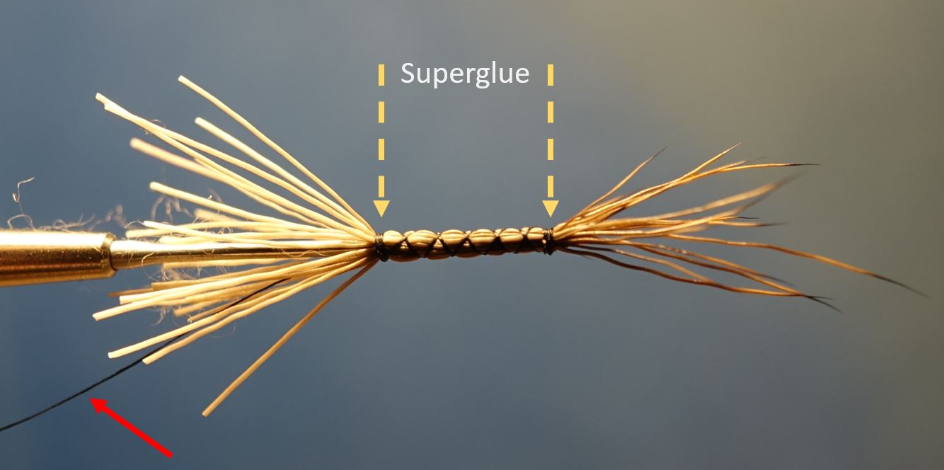 Marche brown chevreuil corps détaché comparadum mouche fly tying eclosion