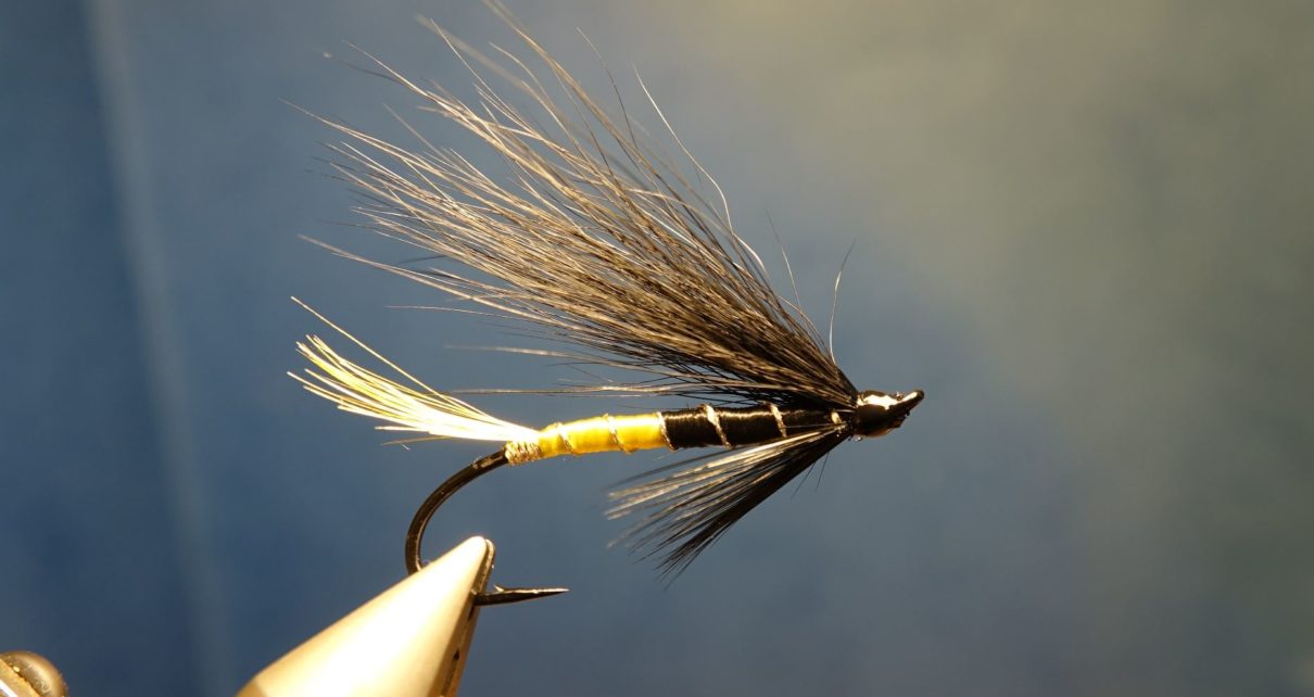 Black maria mouche fly salmon saumon fly-tying eclosion