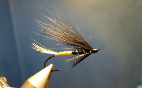 Black maria mouche fly salmon saumon fly-tying eclosion