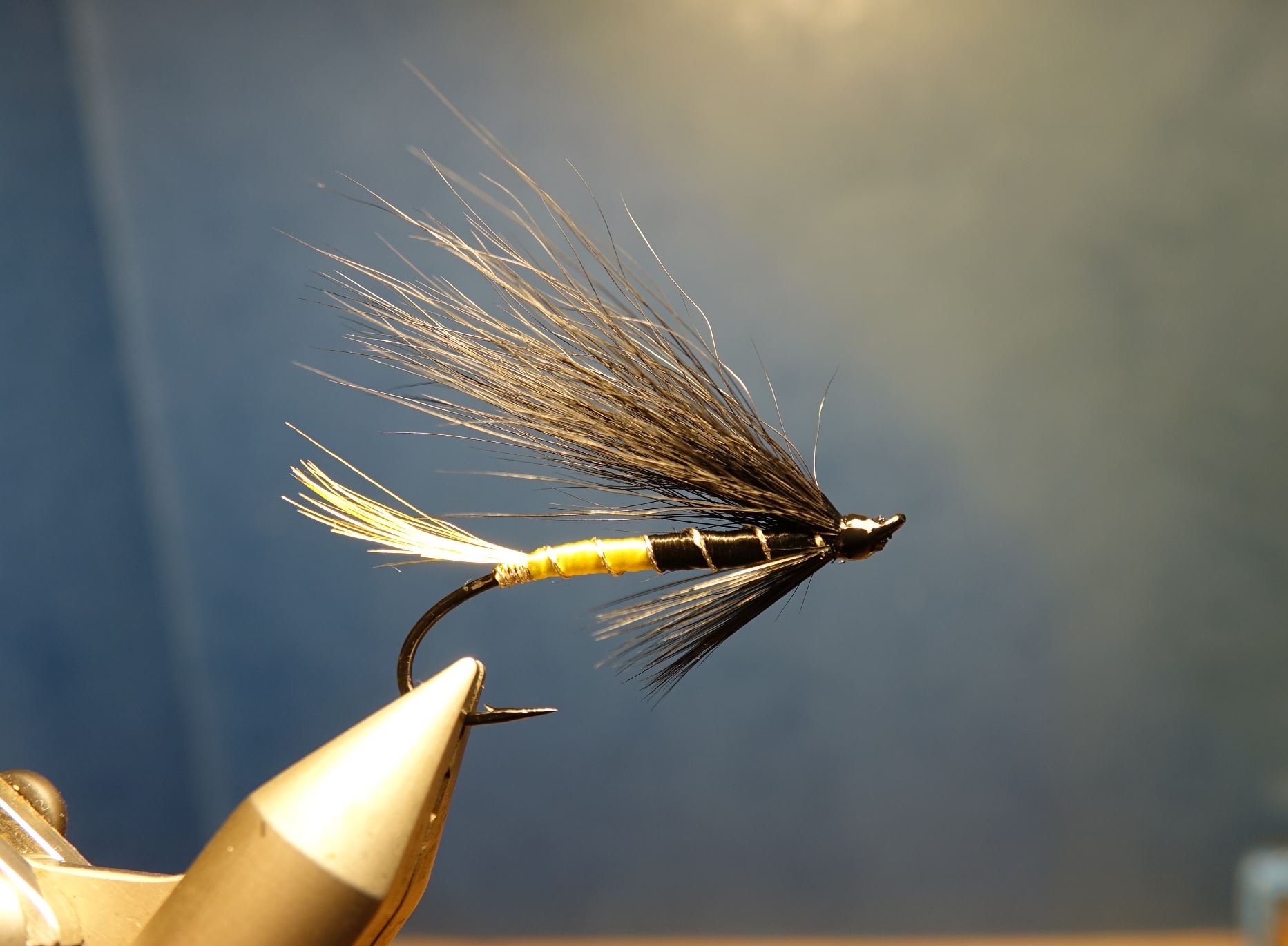 Black maria mouche fly salmon saumon fly-tying eclosion