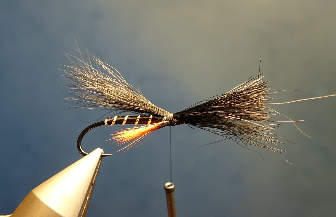 Dovey mouche fly tying salmon saumon truite de mer TDM seatrout squirrel ecureuil eclosion