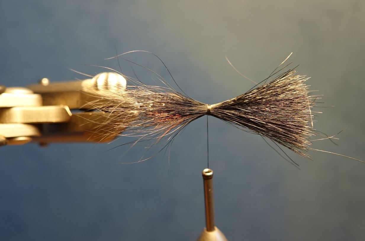 Dovey mouche fly tying salmon saumon truite de mer TDM seatrout squirrel ecureuil eclosion