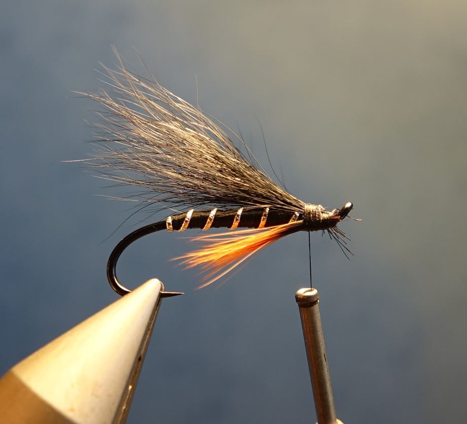 Dovey mouche fly tying salmon saumon truite de mer TDM seatrout squirrel ecureuil eclosion